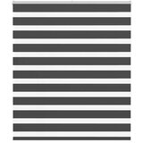 vidaXL idaXL Zebra senčilo črna 120x150 cm tkanina širina 115,9 cm poliester | Shoptok.si