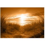  Samoljepljiva foto tapeta - beach (sepia) 196x140 | shoptok.hr