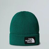The North Face Kape NF0A8CHE Zelena Cene