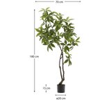Kave Home Umetna rastlina (višina 180 cm) Pachira – | Shoptok.si