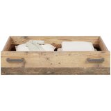 Premium Living Posteljni Predal Baghira | Shoptok.si