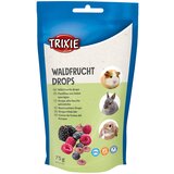 Trixie Drops sa šumskim voćem – 75 g Cijene