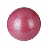 NANTONG HAWK Capriolo pilates lopta 75cm pink ( 291360-P ) Cene