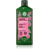 Couleur šampon za barvane lase 300 ml