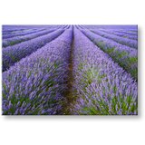  Slike na platnu pejzaž (moderne slike na platnu) | ePonuda.com