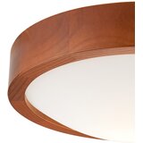  plafonsko svetlo 1xE27/60W/230V | Eponuda.com
