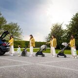 Inglesina kolica za bebe Now Shot Beige, 0m+ Slike