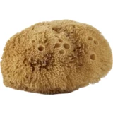Avril natural body sponge