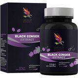 Black Ginger Extract - 30 kaps. | shoptok.hr