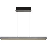 Globo Visilica LED Ethan 39 W 260-2600 lm CCT 2700/4000/6000 K 150x150 cm | shoptok.hr