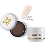  BLUESKY 3 IN 1 MAGIC GEL 06 15ML | Eponuda.ba
