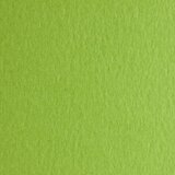 FaColore, hamer papir, B2, 220g, bianco, Fabriano Verde pisello
