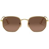 Ray Ban Hexagonal Flat Lenses RB3548N 912443 S (48) Zlata/Rjava Cene