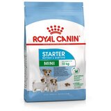 Royal Canin hrana za štence malih rasa mini starter 8kg RV0844 Cene