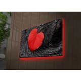 Wallity Slika sa LED osvetljenjem 4570DACT-52, 45x70 cm | ePonuda.com