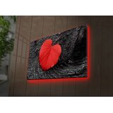 Wallity Zidna slika sa LED osvetljenjem 4570DACT-52, 45x70 cm | Eponuda.ba