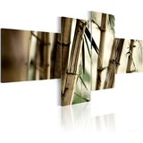  Slika - Bamboo inspiration 100x45 Cijene