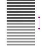 vidaXL Zavjesa zebra crna 145x200 cm širina tkanine 140,9 cm poliester | shoptok.hr