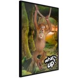  Poster - Life in the Jungle 40x60 Cijene