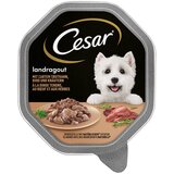 Cesar zdjelice 14 x 150 g - Landragout s puretinom, govedinom i biljem | shoptok.hr