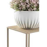  Stalak za cveće 40x24 cm bež | Eponuda.com