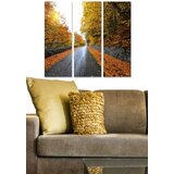 Wallity Set slika MDF86559052, 3 dijela | Eponuda.ba
