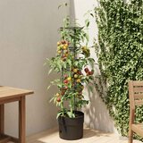  Uzgajivač rajčice Crna Ø 32 x 127 cm PP | shoptok.hr