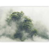  Foto tapeta - Foggy Amazon 147x105 | shoptok.hr