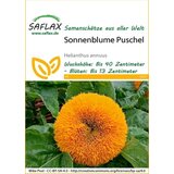 Saflax Sončnica Puschel Cene