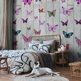  Tapeta - Butterflies and Concrete 50x1000 Standard | shoptok.hr