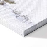  Slika - Hare (1 Part) Wide 90x60 Standard | shoptok.hr