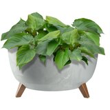 KADAX cvetlični lonec 47 cm pokrov + vstavljive noge stojalo za rože iz plute, sivo, (5000352957) Cene