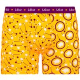 Frogies Men's boxers Zodiac Lev Cene