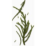 Darphin Hydraskin light krem, 50ml | Eponuda.com