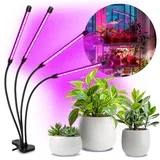 Prigušiva LED lampa sa stezaljkom za uzgoj biljaka VITARO 4xLED/10W/230V crna