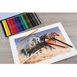 Eberhard Faber Barvice Eberhard Faber Colori, 36 kosov | Shoptok.si