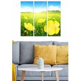 Wallity Set slika MDF94426999, 3 dijela | Eponuda.ba