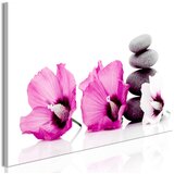 Slika - Calm Mallow (1 Part) Narrow Pink 135x45 Cijene