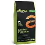 natural adult lamb and pumpkin medium/maxi 12 kg