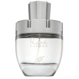 Afnan Rare Carbon 100 ml parfemska voda za moške | shoptok.hr