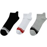 Polaris Socks - Multicolor - 3-pack Cene