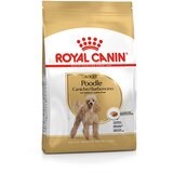 Royal Canin poodle adult - hrana za pudle starije od 10 meseci (500g i 1,5kg) 500g | Eponuda.com