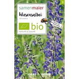 Samen Maier Travniški žalbelj-divja cvetlica Cene