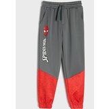 Sinsay Jogger donji dio trenirke Spiderman | shoptok.hr