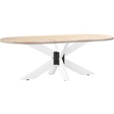 Noga za klubsko mizico v obliki pajka bela 98x58x(42-43) cm jeklo, (5000044581) | Shoptok.si