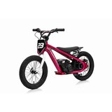Ramiz Električno motorno kolo BAIGOR 23 Pro 250 W roza | Shoptok.si