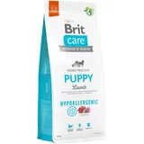 Brit Care Dog Hypoallergenic suha pasja hrana po posebni ceni! - Puppy jagnjetina & riž 12 kg