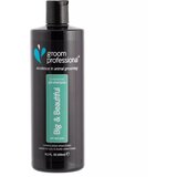 groom professional koncentrovani šampon za ljubimce- big & beautiful 450 ml cene