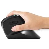 Port Brezžična ergonomska miška Ergo Auditor polnilna črna (910204) | Shoptok.si