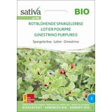 Sativa Bio špargljev grah "Rdeče cvetoči špargljev grah" Cene